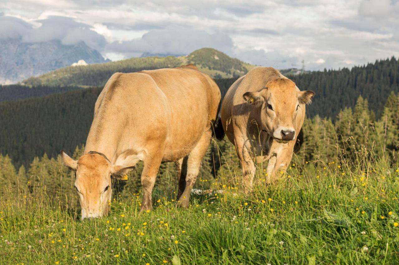 Bommerhof Waidring Exteriér fotografie